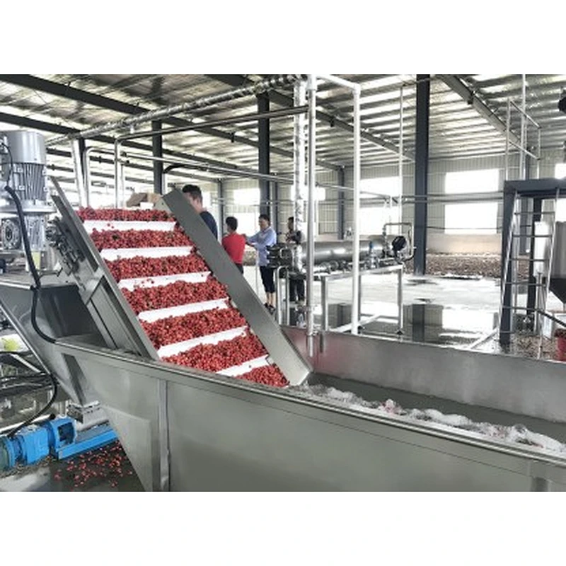 Blueberry,strawberry,raspberry,blackberry,mulberry processing complete production line turnkey project