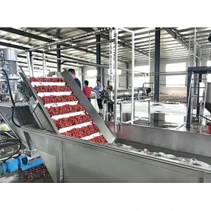 Blueberry,strawberry,raspberry,blackberry,mulberry processing complete production line turnkey project