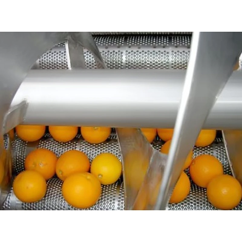 Orange,citrus,lemon processing complete production line turnkey project