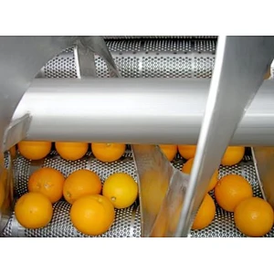 Orange,citrus,lemon processing complete production line turnkey project