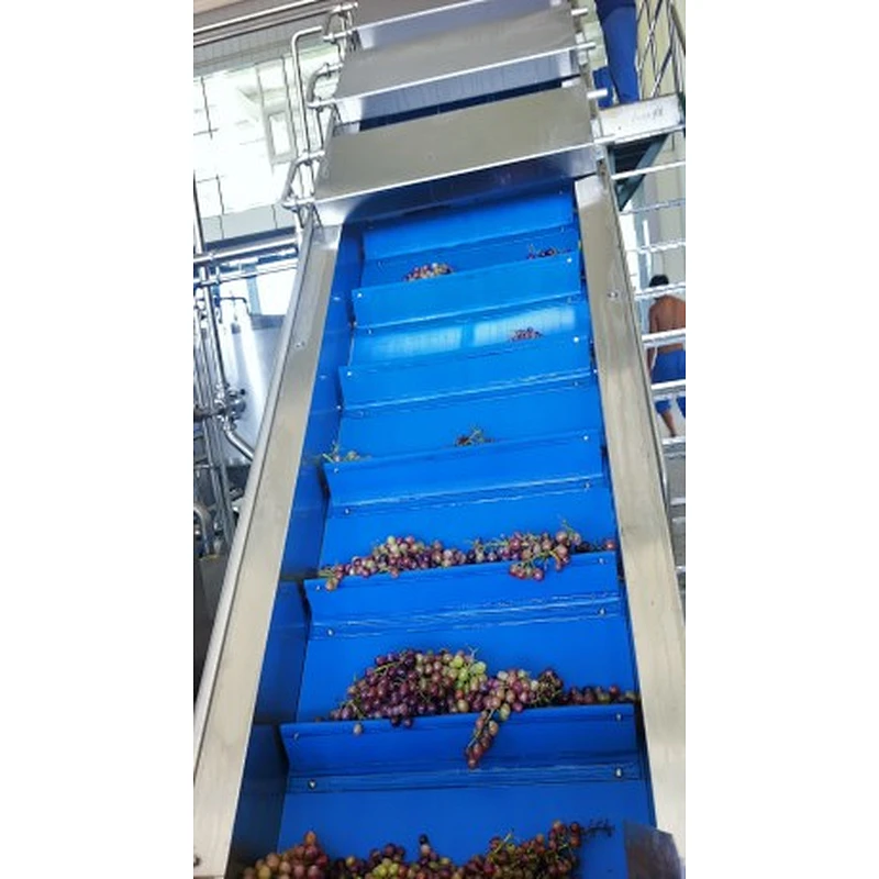 Grape processing production line
