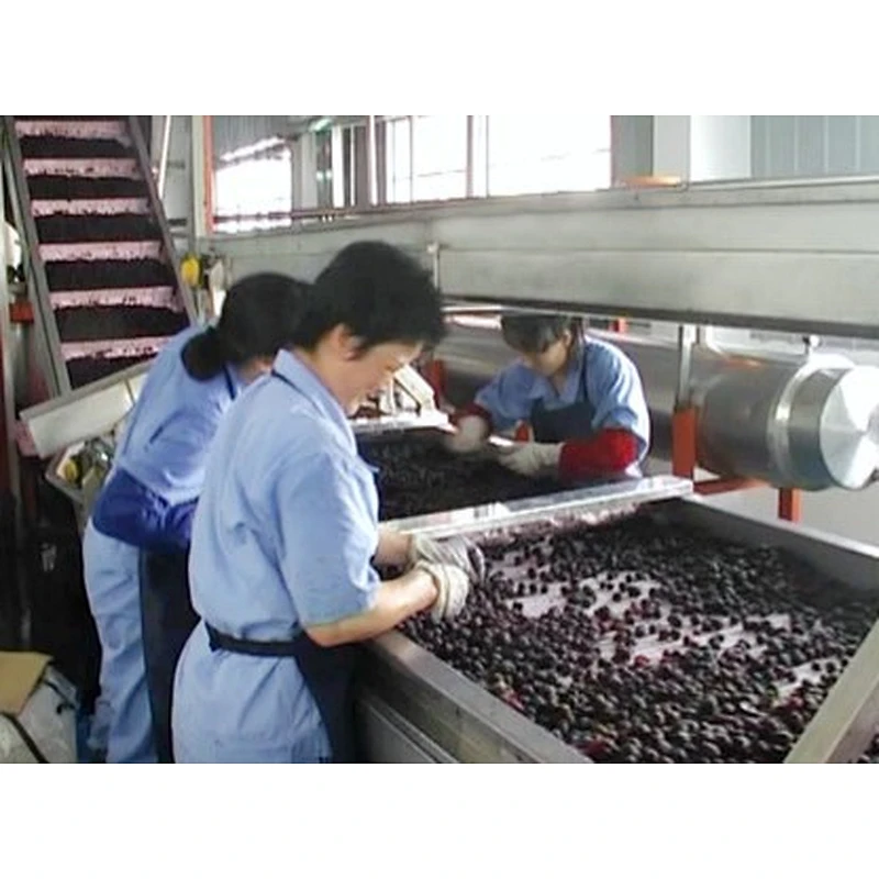 Blueberry,strawberry,raspberry,blackberry,mulberry processing complete production line turnkey project