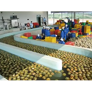 Pineapple processing complete production line turnkey project