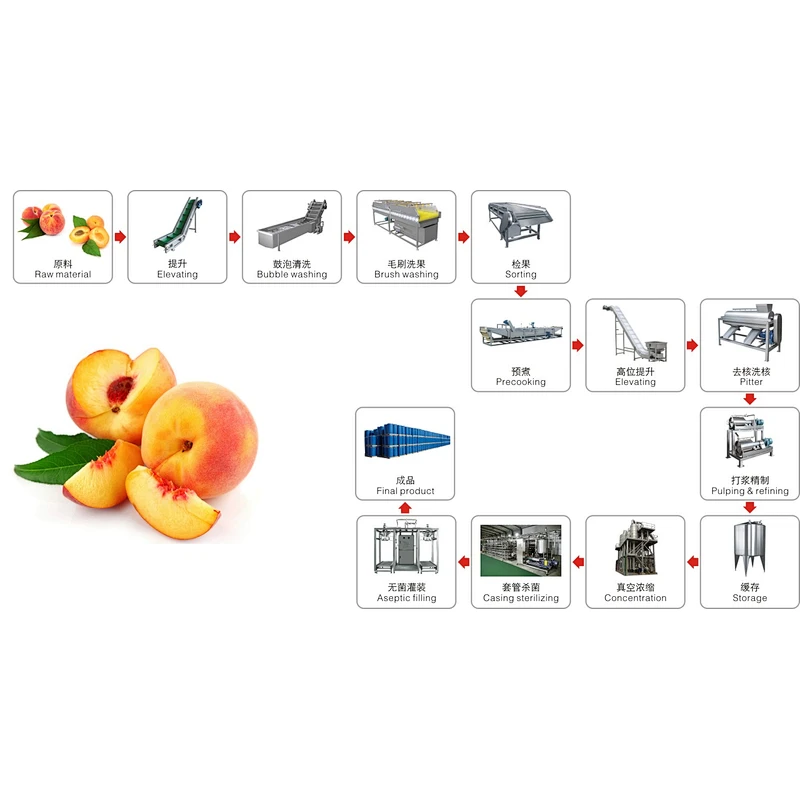 Peach apricot processing complete production line