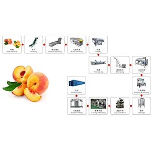 Peach apricot processing complete production line