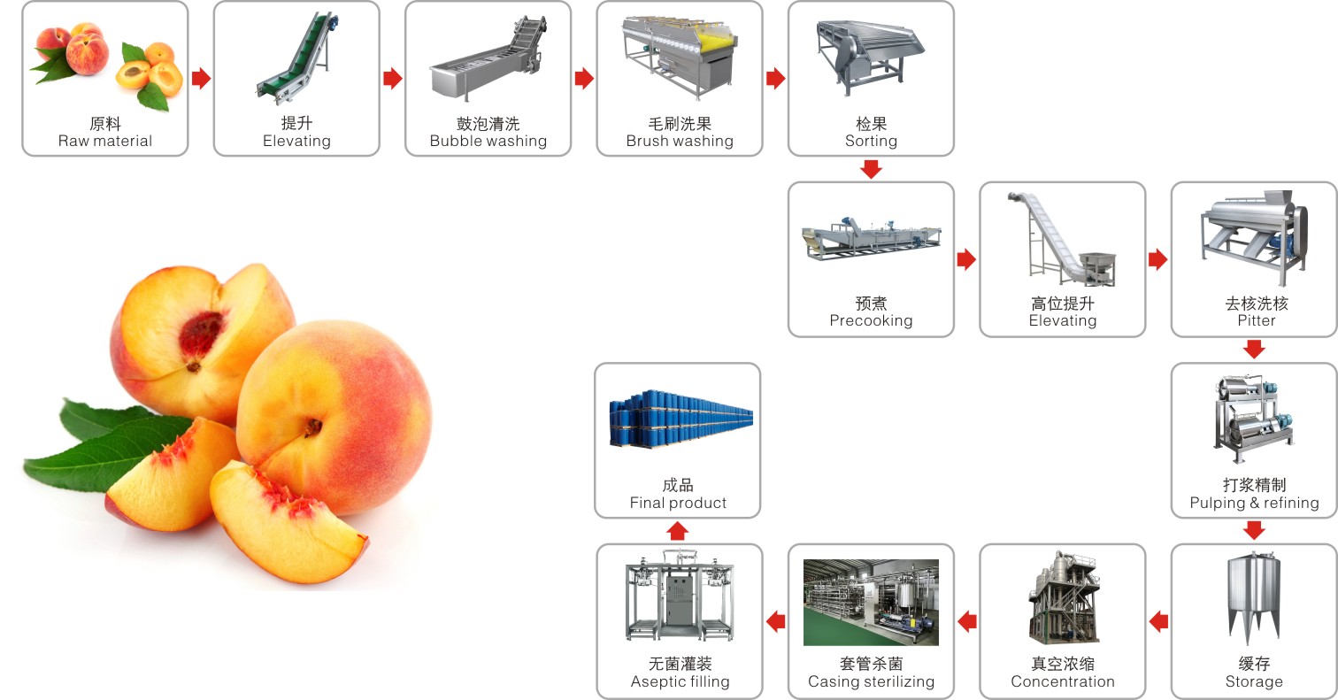 Peach apricot processing complete production line