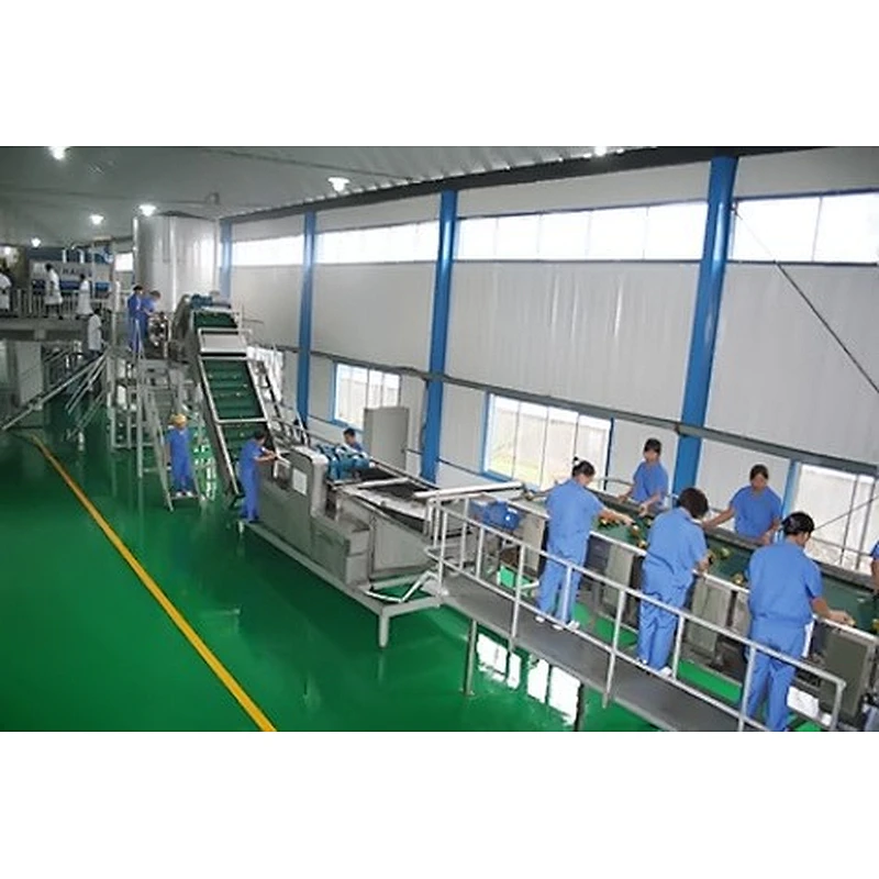 Pumpkin processing complete production line turnkey project
