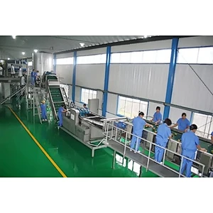 Pumpkin processing complete production line turnkey project