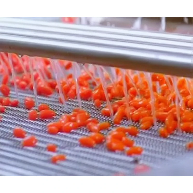 Red dates,medlar processing complete production line turnkey project