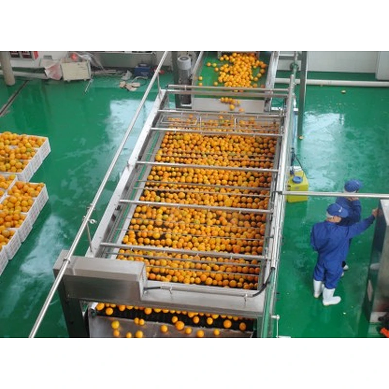Orange,citrus,lemon processing complete production line turnkey project