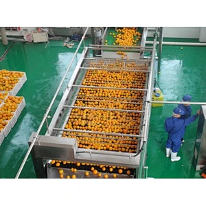 Orange,citrus,lemon processing complete production line turnkey project