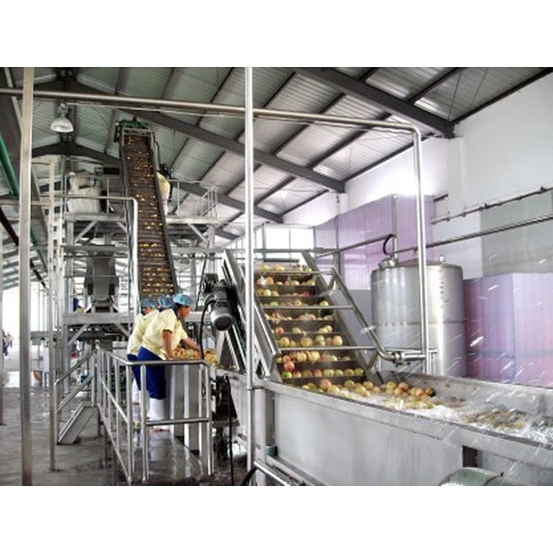 Peach apricot processing complete production line