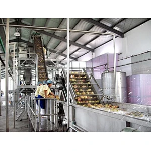 Peach apricot processing complete production line