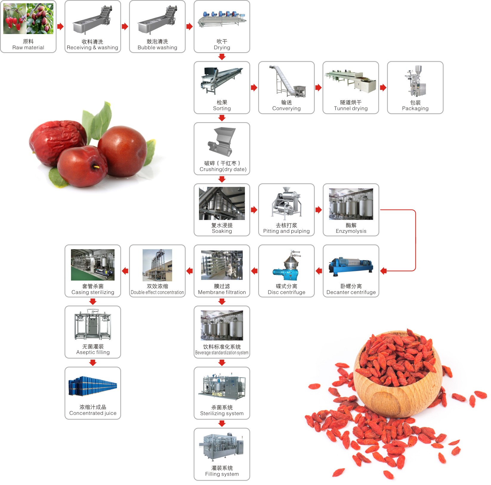 Red dates,medlar processing line