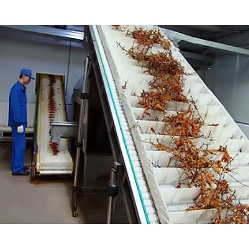 Seabuckthorn processing complete production line