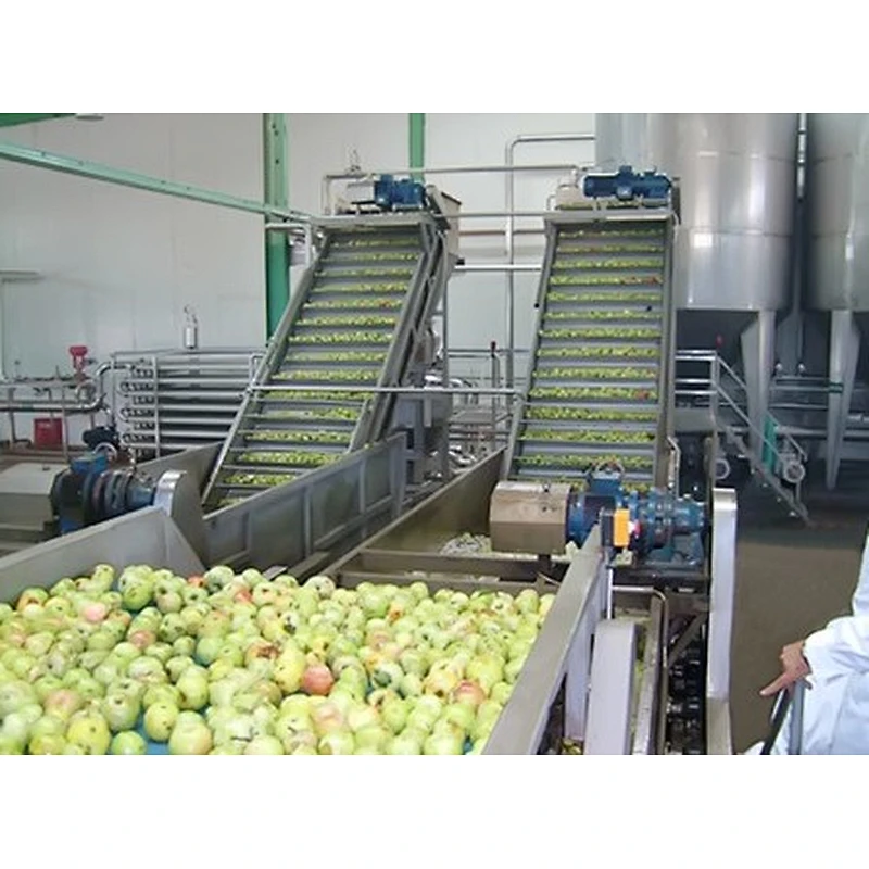 Apple and pear processing production line