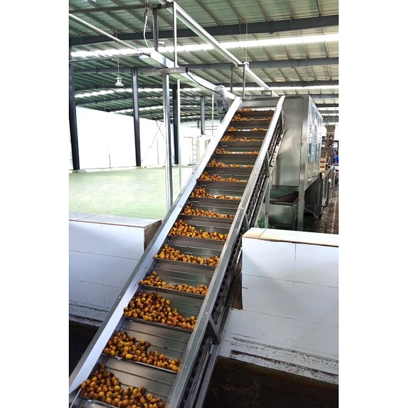 Prickly pear processing complete production line