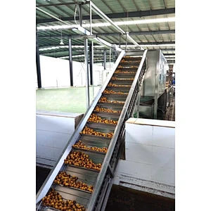 Prickly pear processing complete production line