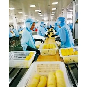 Pineapple processing complete production line turnkey project