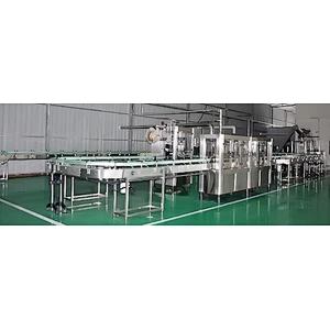 Fig processing complete production line turnkey project