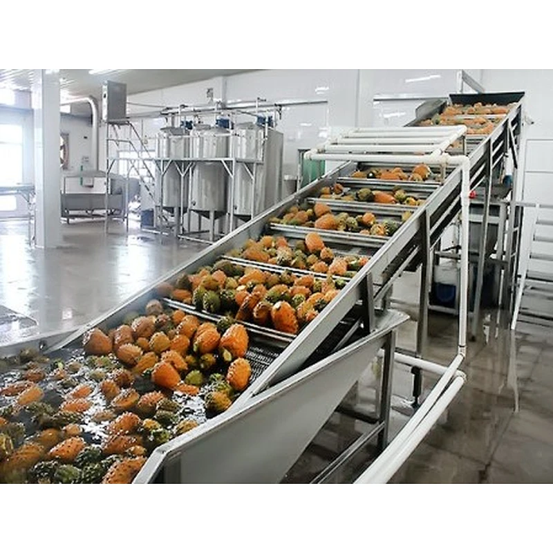 Pineapple processing complete production line turnkey project