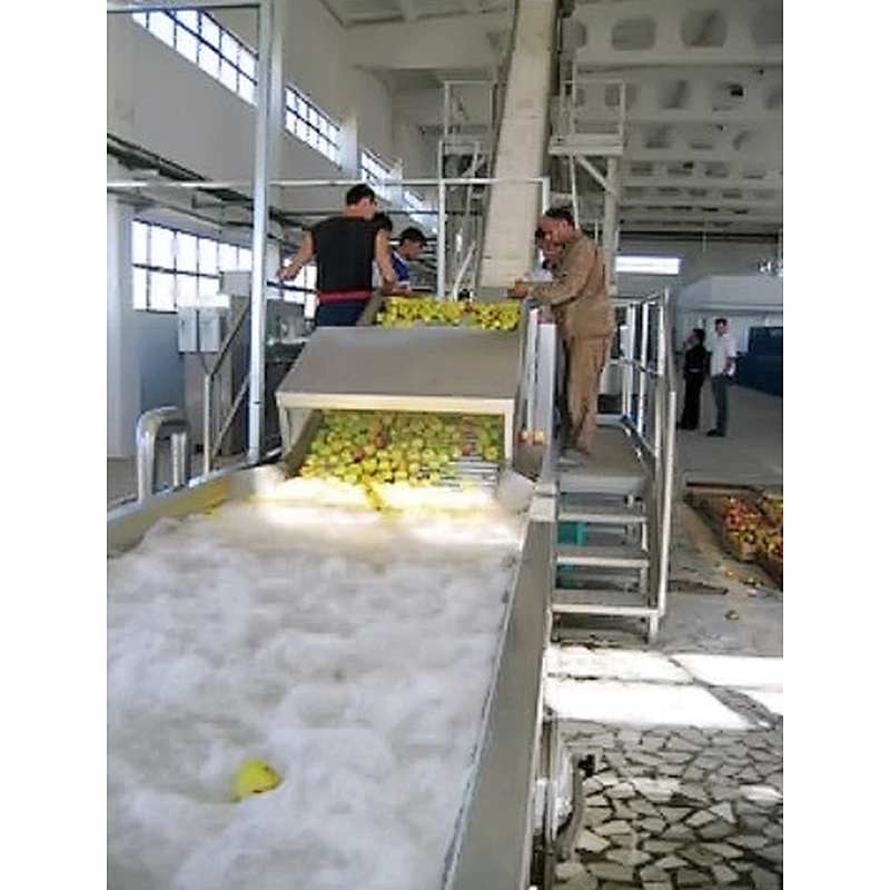 Mango processing complete production line turnkey project