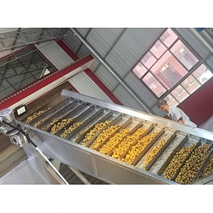 Prickly pear processing complete production line