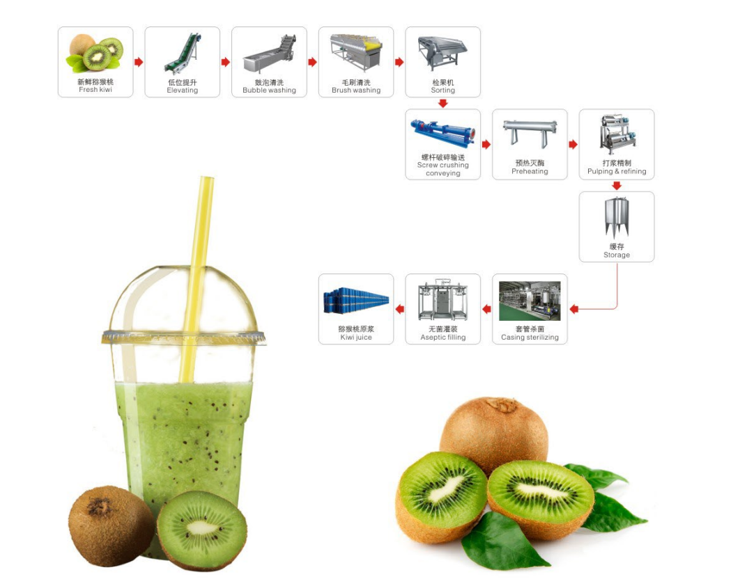 Kiwi processing complete production line