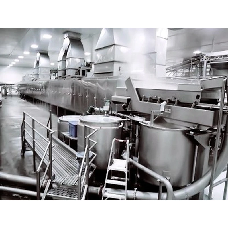 Candied fruit and dried fruit processing production line