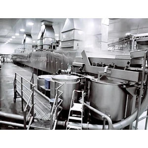 Candied fruit and dried fruit processing production line