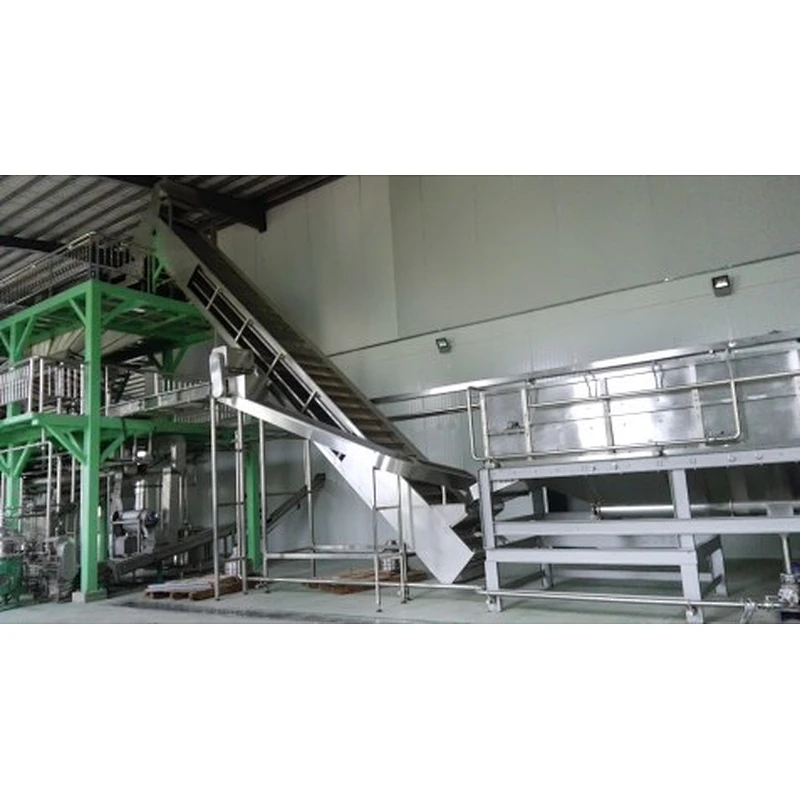Pumpkin processing complete production line turnkey project