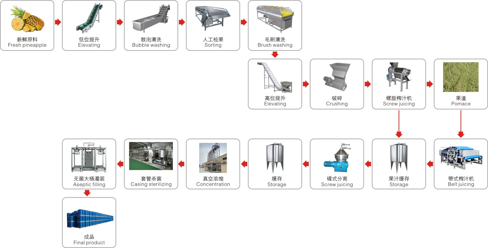 Pineapple processing complete production line turnkey project