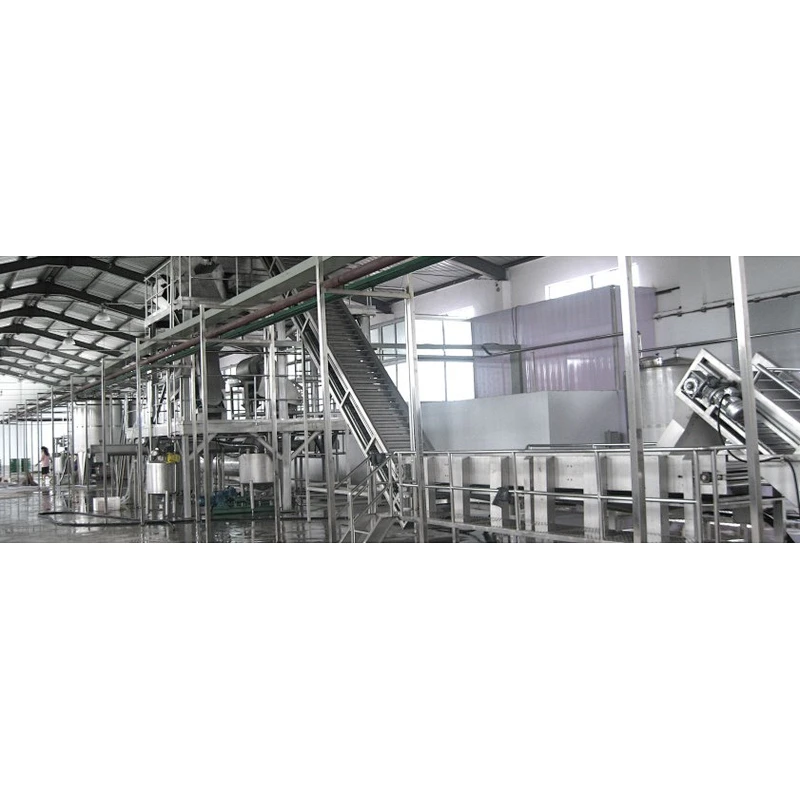 Kiwi processing complete production line