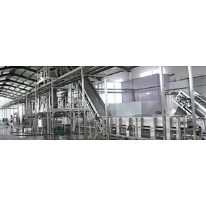 Kiwi processing complete production line