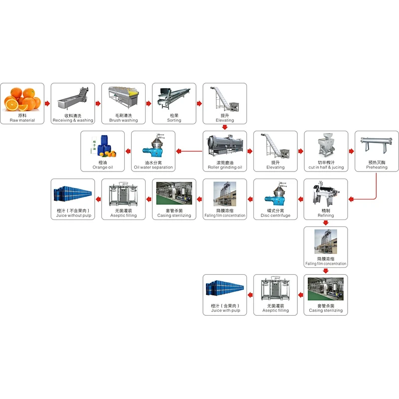 Orange,citrus,lemon processing line