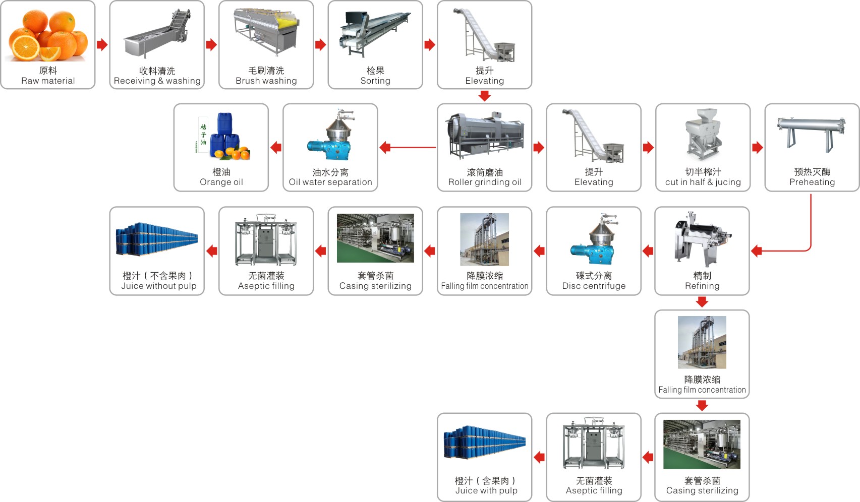 Orange,citrus,lemon processing line