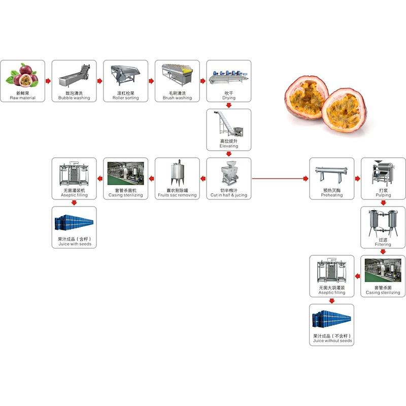 passion fruit and dragon fruit processing line