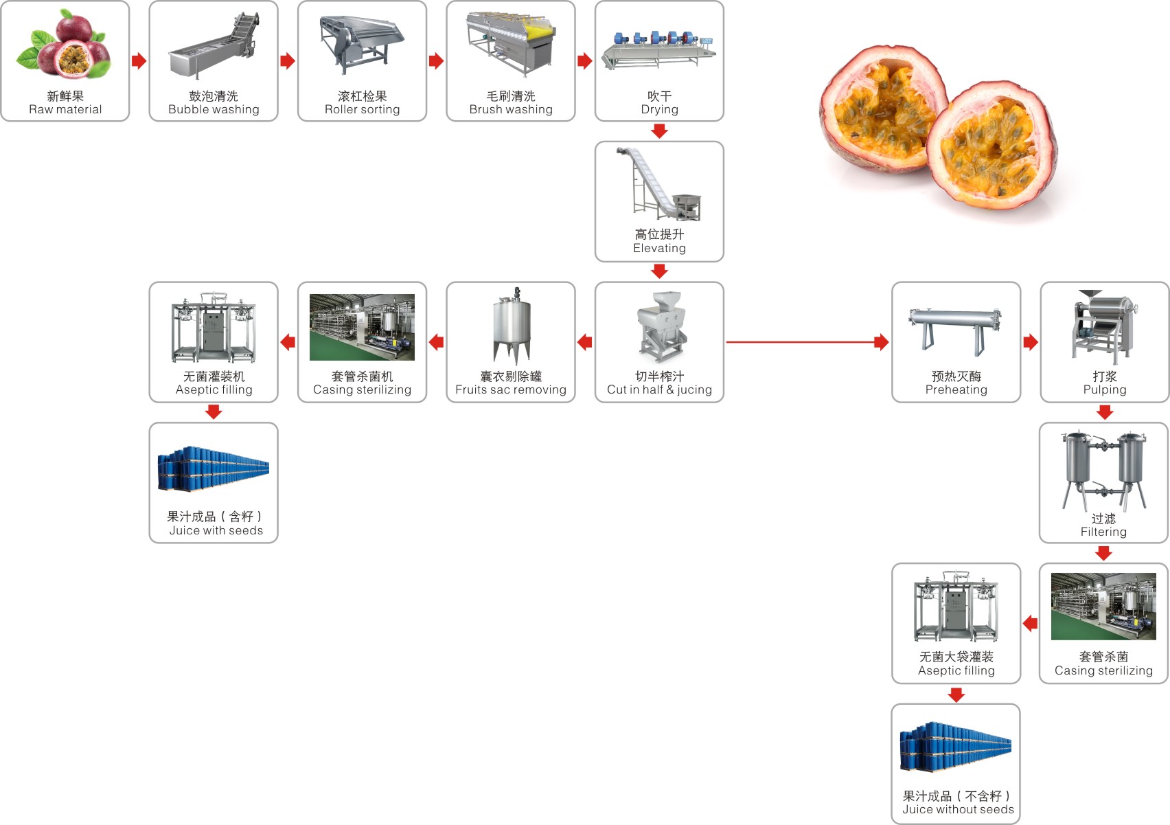 passion fruit and dragon fruit processing line