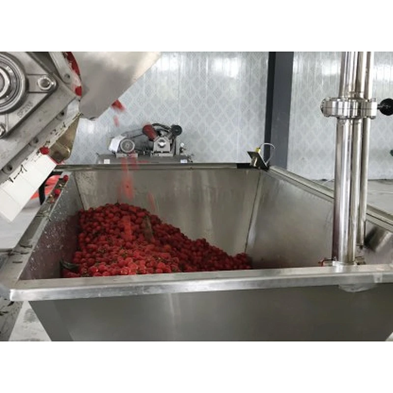 Blueberry,strawberry,raspberry,blackberry,mulberry processing complete production line turnkey project