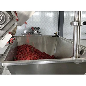 Blueberry,strawberry,raspberry,blackberry,mulberry processing complete production line turnkey project